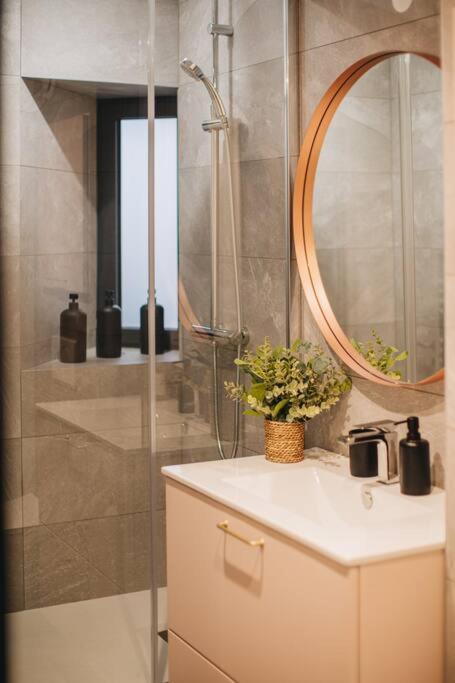 Апартаменты La Vie En Rose - Luxe, Calme & Hypercentre - 3* Анси Экстерьер фото