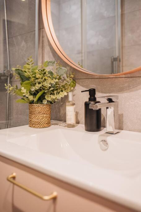 Апартаменты La Vie En Rose - Luxe, Calme & Hypercentre - 3* Анси Экстерьер фото