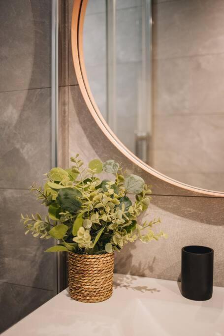 Апартаменты La Vie En Rose - Luxe, Calme & Hypercentre - 3* Анси Экстерьер фото